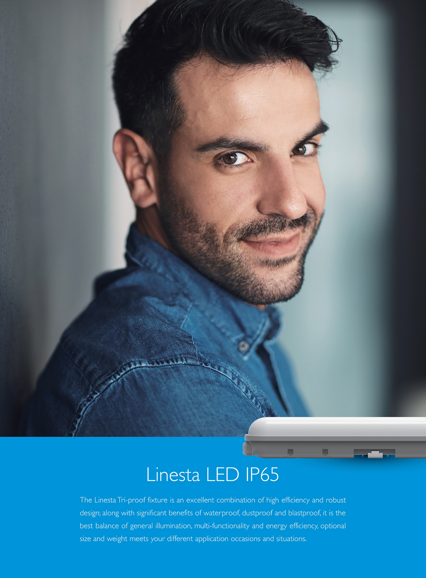 Linesta X2 Supervision External Surface Luminaires Techtouch Unidirectional Fitting Linesta X2 Supervision External Surface Luminaires Techtouch Unidirectional Fitting